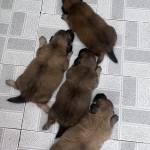 Bui To Profile Picture