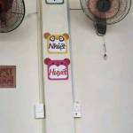 Cudai100cm Profile Picture