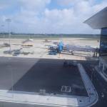 Phuc Tran Profile Picture