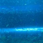 Namtruc Profile Picture