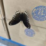 DDYY8787 Profile Picture