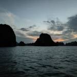 Michael Linh Profile Picture