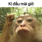 Phụng Phạm Profile Picture