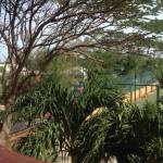 Hoàng Nguyễn Profile Picture