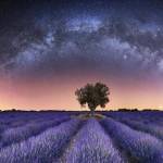 ZCK_ZDK Profile Picture