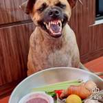 Lio Cristiano Profile Picture