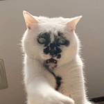 Dang Viet Profile Picture