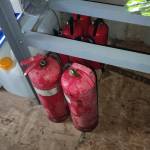 Con Chim Profile Picture