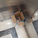 Loicunu Profile Picture