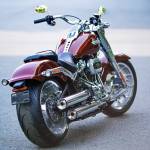 Batvy La Profile Picture