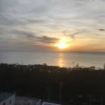 Leo Thanh Profile Picture