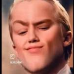 Tú Hà Profile Picture