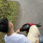 anhvu151107 Profile Picture