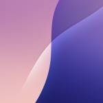 Huệ Phạm Profile Picture