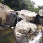 Nguyen tan Profile Picture