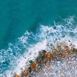 Ken Chou Profile Picture