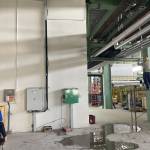 Ngoc Ho Profile Picture