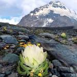 Nam Trần Profile Picture