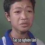 nhuphich cuto Profile Picture