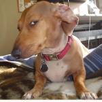 em Iu Profile Picture