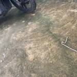 Tt Hh Profile Picture