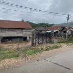 Ddii123654 Profile Picture