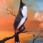 Tí Nguyễn Profile Picture