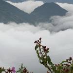 kingkong185 Profile Picture