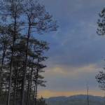 Công Quang Profile Picture