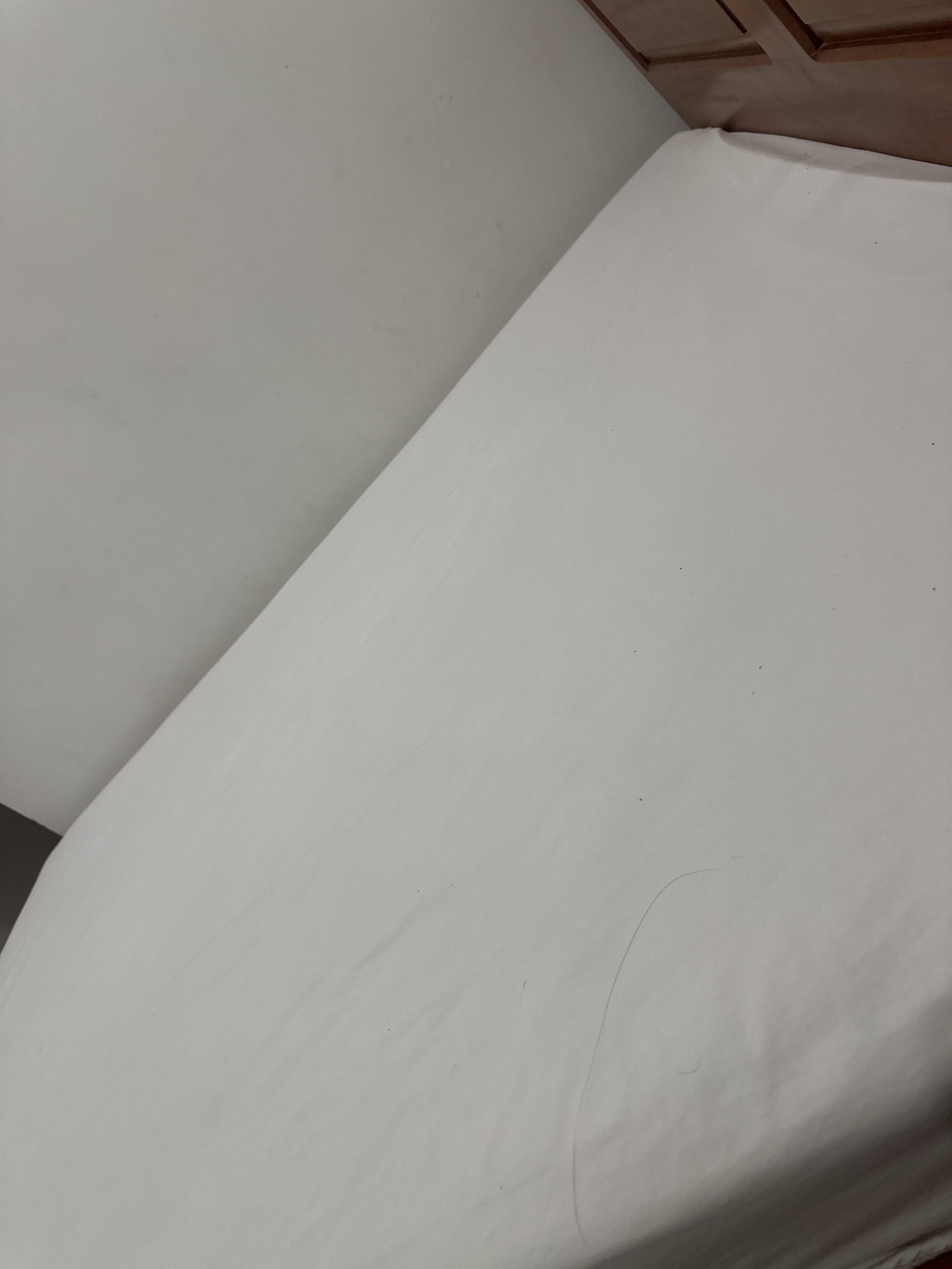 Thọ Phạm Profile Picture