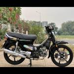 trung huy Profile Picture