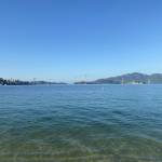 le ngoc Profile Picture