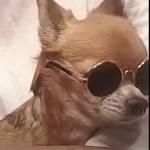 Vũ Hoàng Profile Picture