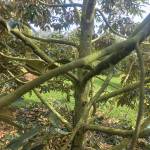 00710091982 Profile Picture