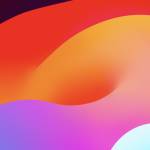 A Hihi Profile Picture