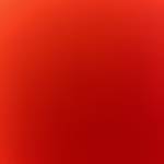 Tuấn Phan Profile Picture