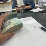 Vanbinh123 Profile Picture