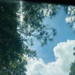 Hardin Pham Profile Picture