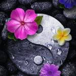 Minh Tường Profile Picture