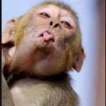 khongbitnoigi Profile Picture