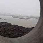 Phiêu Anh Profile Picture