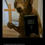 hoangnam vo Profile Picture