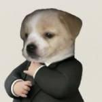 Chiến Nguyễn Profile Picture