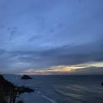 Thông Nguyễn Profile Picture