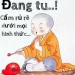 Tieuhoathuong123 Profile Picture