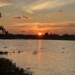 Khoe Nguyen Profile Picture