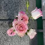 Alangthanhtt Profile Picture