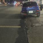 Son Tran Profile Picture