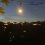 Nam Nguyen Profile Picture