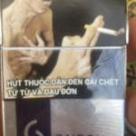 Tín Trần Profile Picture